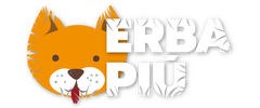 Erba piu