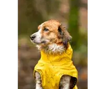 FLAMINGO Дождевик RAINCOAT CIRO
