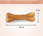 Antos Pressed Bone Pizzle 1pc