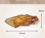 Antos Beef Ears with conch 10 pcs