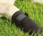 BEEZTEES Защитная обувь PROTECTIVE SHOE l 2x