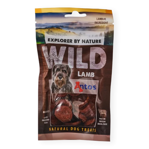 Antos WILD Lamb