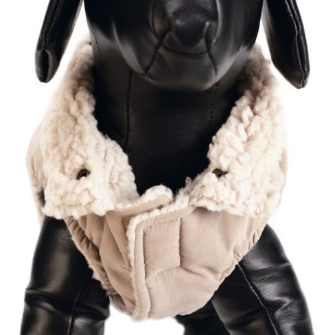 Beeztees Пальто PHILOS 36