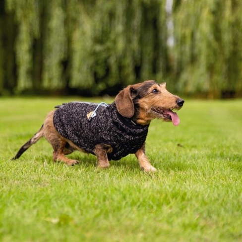 Beeztees Свитер CELIA Dark Grey