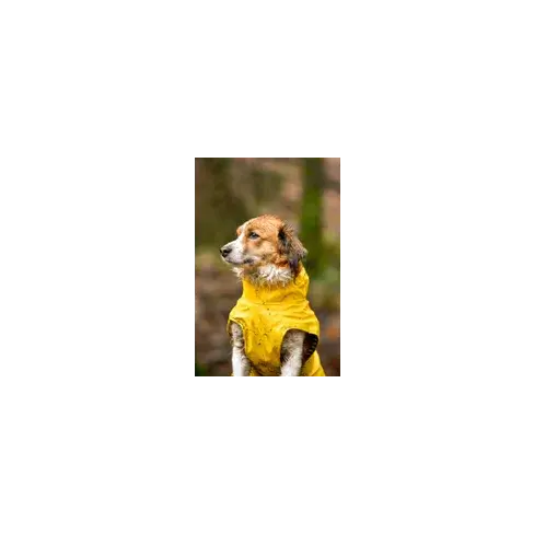 FLAMINGO Дождевик RAINCOAT CIRO