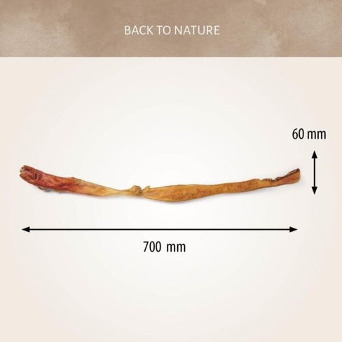 Antos Beef Hide Long Pre-Packed 70cm