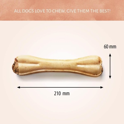Antos Pressed Bone Pizzle 1pc