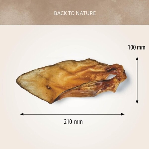 Antos Beef Ears with conch 10 pcs