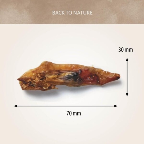 Antos Chicken Wings