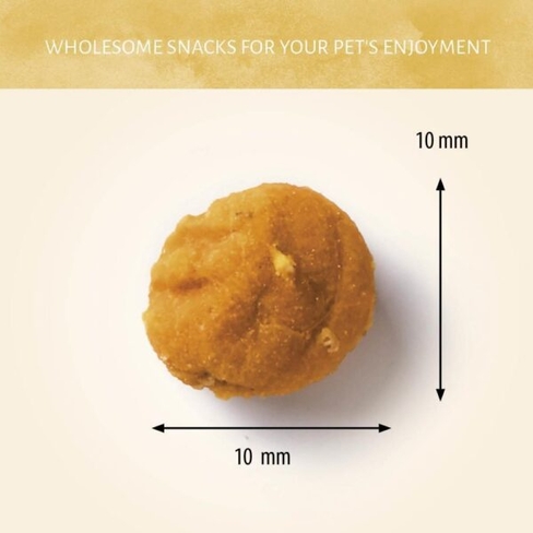 Antos Insecta Nibbles Mealworm & Pumpkin