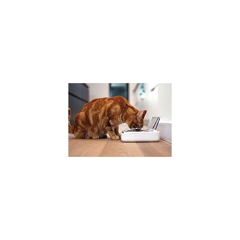 SURE FLAP Автоматическая миска Sealed Pet Bowl