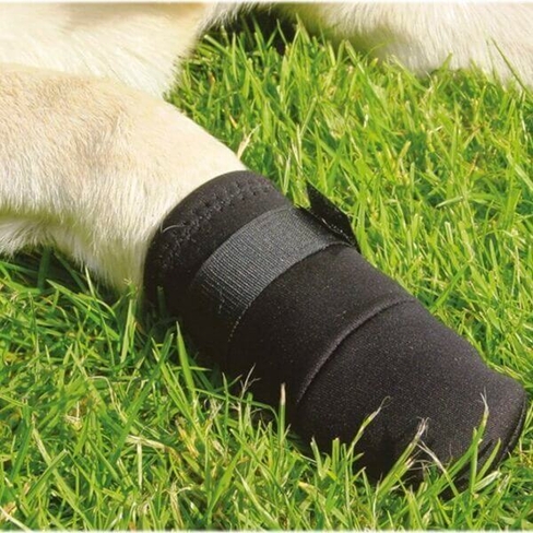 BEEZTEES Защитная обувь PROTECTIVE SHOE l 2x