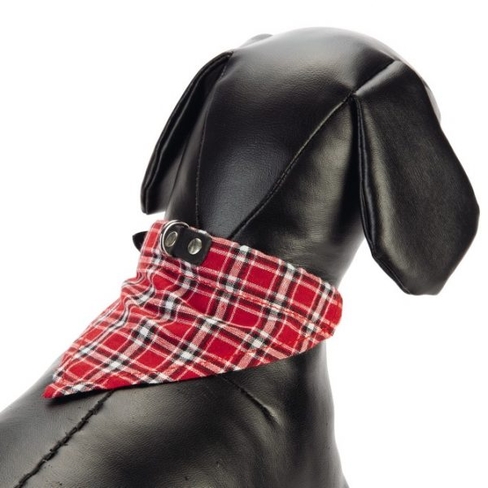 BEEZTEES zgarda din piele COLLAR+CLOTH Black 32×10