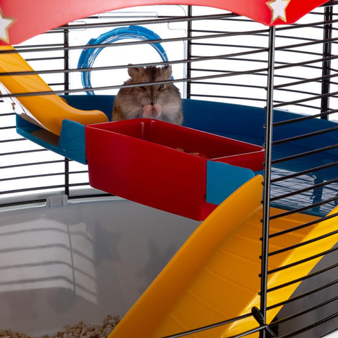 Клетка CIRCUS FUN