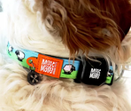 MAX & MOLLY Ошейник Smart ID Sheep l