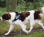 BEEZTEES  Шлейка K9 IDC Powerharness Size 3 ANT 82-115