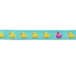 MAX & MOLLY Шлейка Ducklings