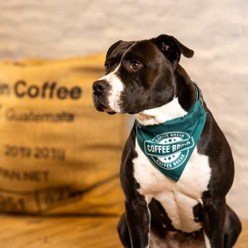 MAX & MOLLY Бандана Coffee Break l
