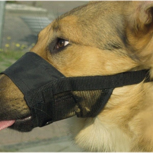 BEEZTEES нейлон. намордник для собак l