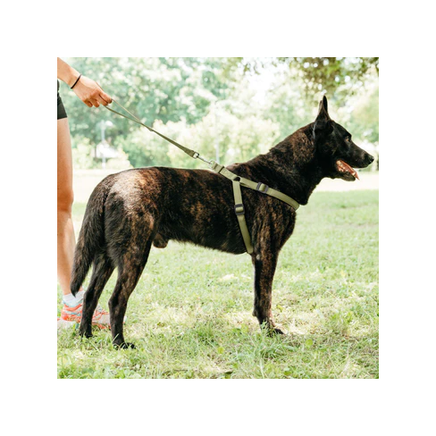 Ferplast Шлейка DAYTONA P MEDIUM оливковая