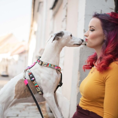 MAX & MOLLY Шлейка Missy Pop