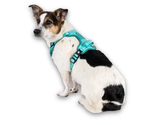 MAX & MOLLY Шлейка Sport  – Matrix 2.0 Turquoise М