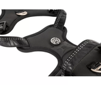 MAX & MOLLY Ham Sport Harness – Matrix 2.0