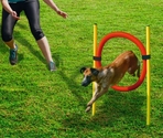 BEEZTEES cerc pentru obstacole de sărit AGILITY HOOP SET