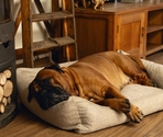 BEEZTEES лежак ортопед. Memory Foam ZIA