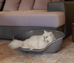 FERPLAST Лежак SIESTA DELUXE 4
