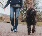 MAX & MOLLY Поясная сумка Waist Bag