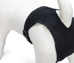 BEEZTEES гигиенич. трусы Sanitary Pants 46-57