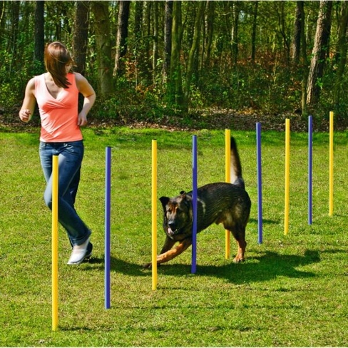 BEEZTEES piloni pentru slalom AGILITY SLALOM SET