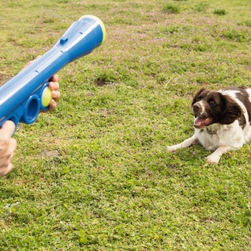 BEEZTEES lansator cu mingi de tenis FETCH BALL SHOOTER