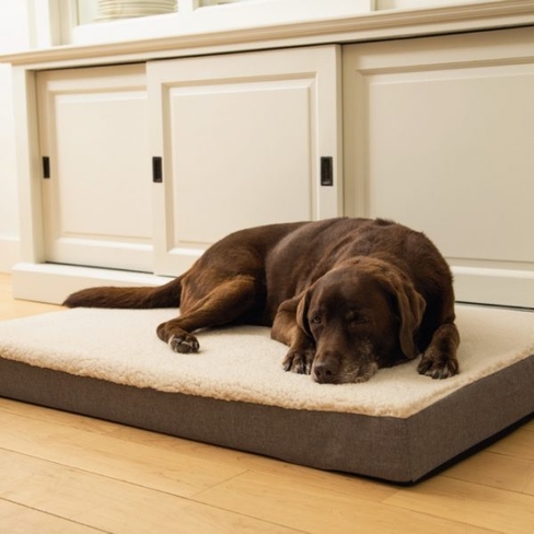 BEEZTEES лежак ортопед. Memoryfoam ZIRA Beige 120x80x10cm