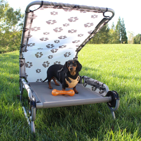Disc-O-Bed Dog Bed l