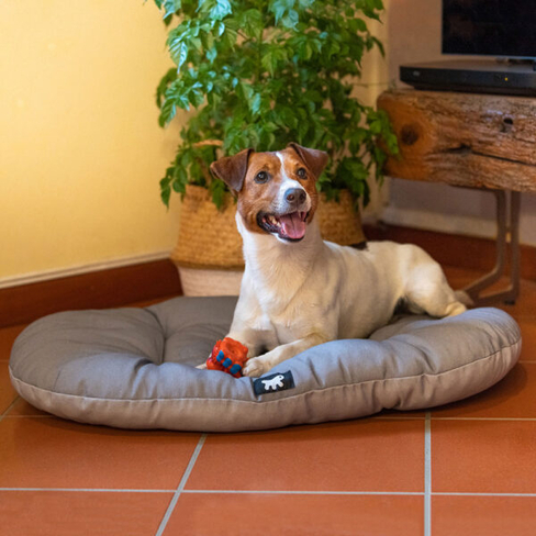 FERPLAST Подушка хлопковая RELAX 100/12 SANITIZED