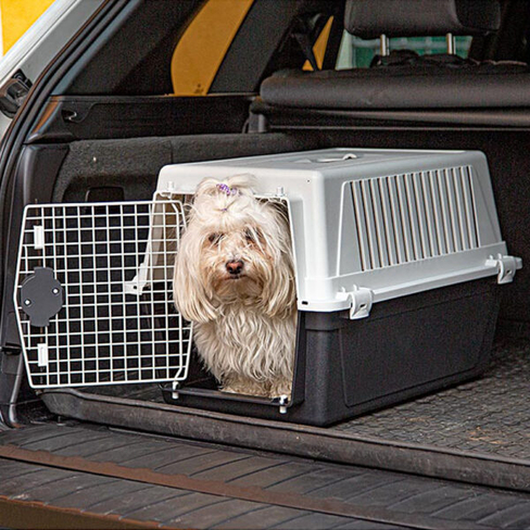 Ferplast cușcă de transport ATLAS 30 PROFESSIONAL