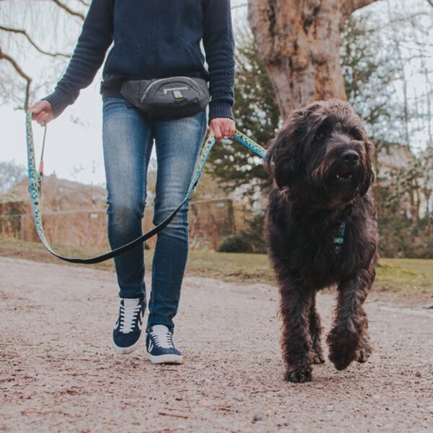 MAX & MOLLY Поясная сумка Waist Bag