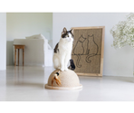 Beeztees răzuitoare pentru pisici Half Scratch Globe VIVI