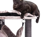 PETREBELS KINGS & QUEENS Catharina 160 Cappuccino
