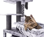 PETREBELS Lucky Bastards Parklane 175