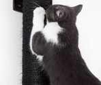 PETREBELS WALL of REBELS Climb 1560 – set Wenge