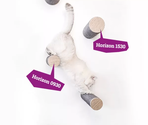 PETREBELS WALL of REBELS Horizon 1530-set of 2 Old