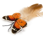 BEEZTEES BZ Jucărie din pluș Butterfly Fligo
