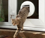 SURE FLAP adapter de montare Cat Flap