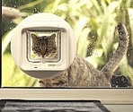 SURE FLAP Ușiță DualScan Cat Flap