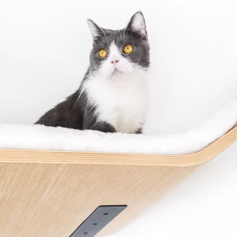 PETREBELS WALL of REBELS Wave 70 Rusty Oak