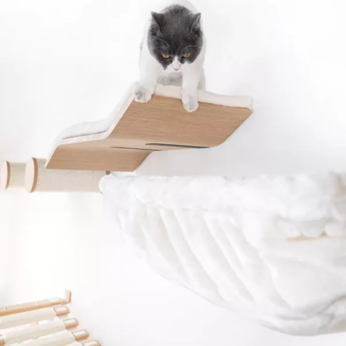 PETREBELS WALL of REBELS Wave 70 Rusty Oak