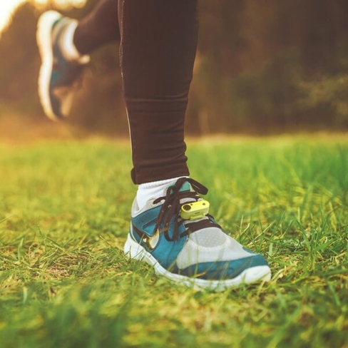 Ультразвуковой отпугиватель блох и клещей TICKLESS RUN